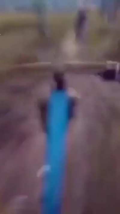 viernes
