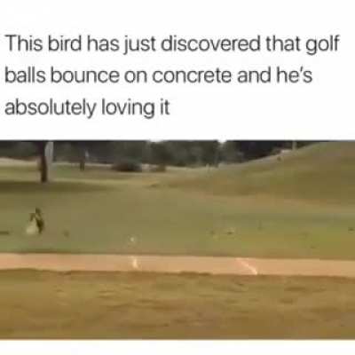 Play time
