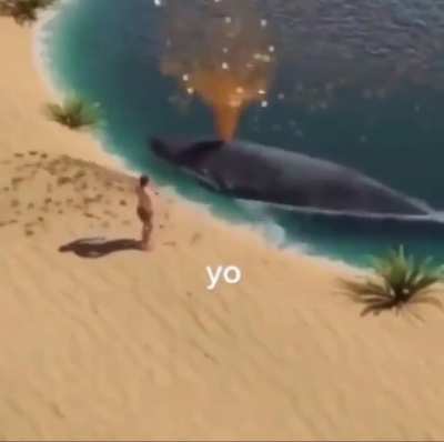 Yo
