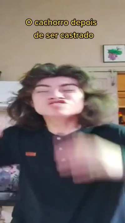 CADE MEU PAU?