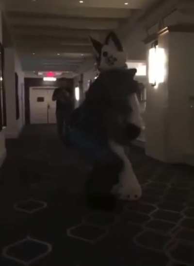 Dropkick_irl