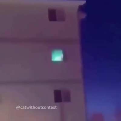 :3