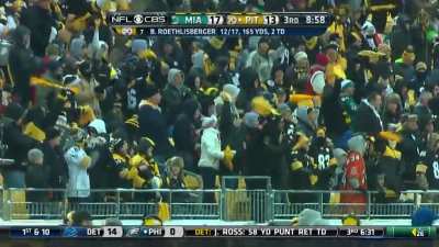 [Highlight] Roeth 43-yard TD to Antonio Brown (2013)
