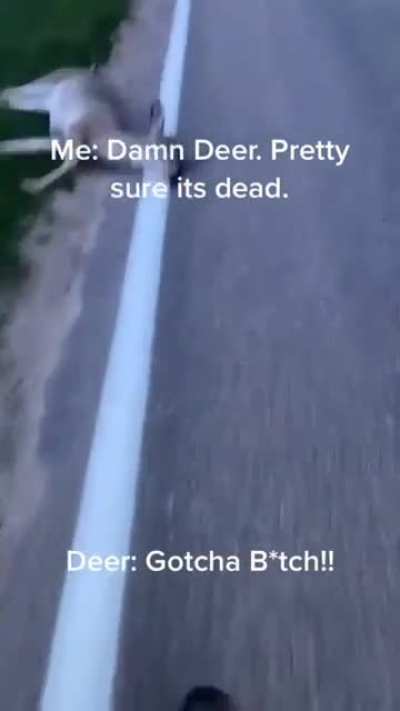 Why did the deer cross the road?