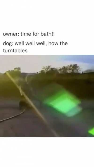 That's why Dogs are the most loyal