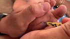 Was advised to post here , little sisters splinter