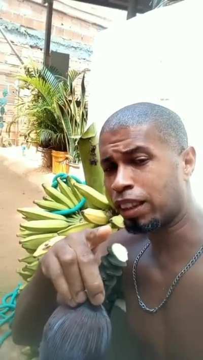 muito bem colocado