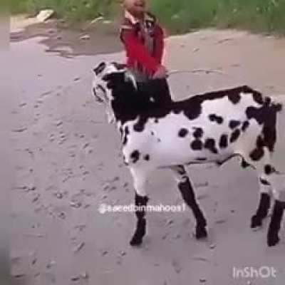 He deserved it