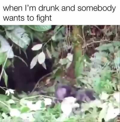 Get these hands!