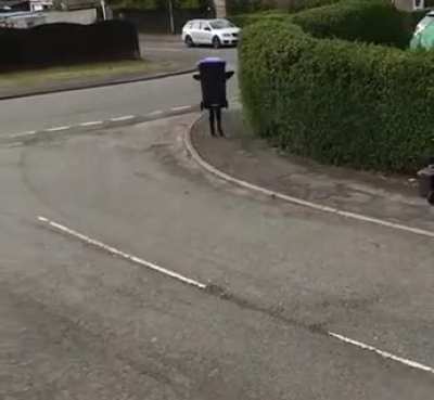 Not today garbage man.