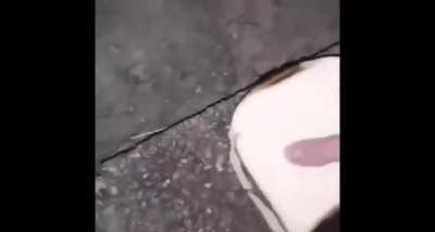 Whats the name of this song in this meme? I think its from dont starve.