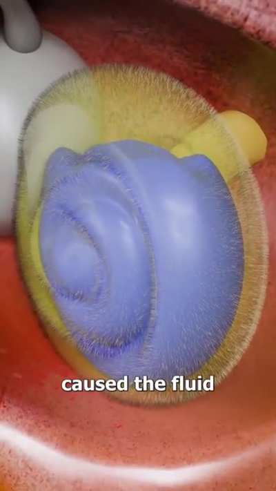 How hearing works