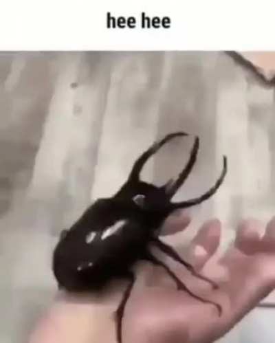 blursed_heehee