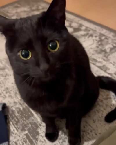 Those Damn Eyes