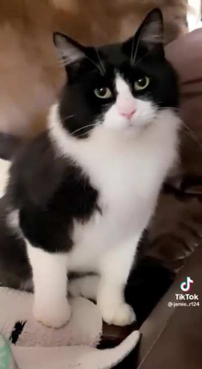 WAAAAA-