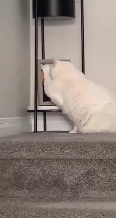 Sat