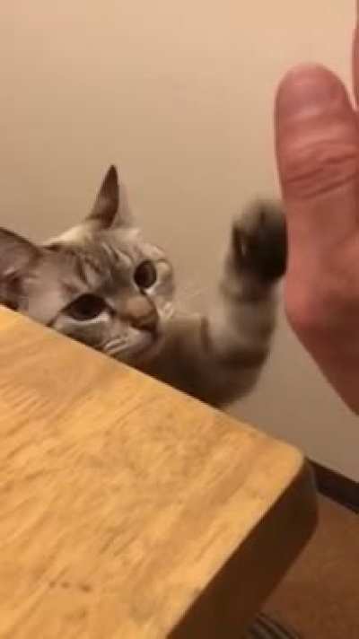 [Haiku] High 5
