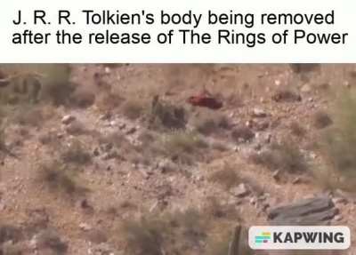 Lord of the spin
