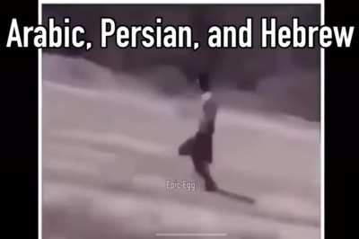 pog