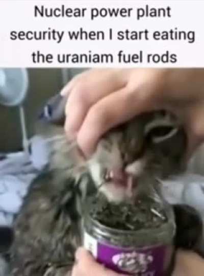 Memes from shitposting #2