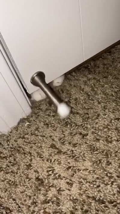 Our cat has discovered how to effectively wake us up again after being kicked out of our room.