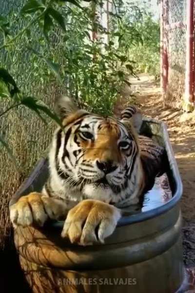 Hot Day