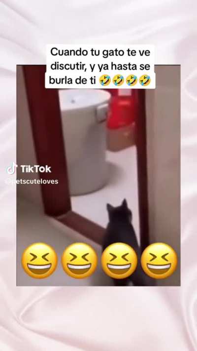 XDD