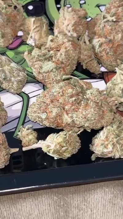 star dawg 🔥