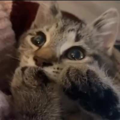 When you're so cute that you're ready to eat yourself!