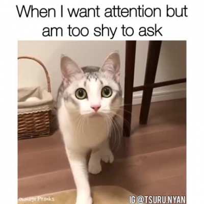 Touch tha floor