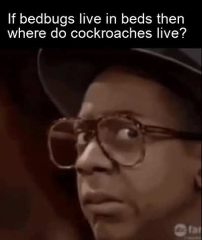 I've never seen a cockroach before... 💀 