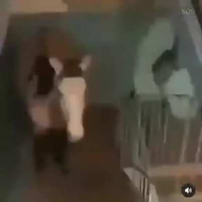 que