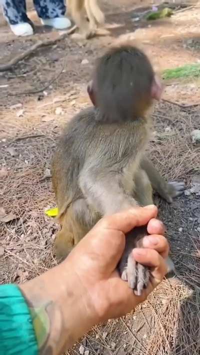 Holding hands is the best