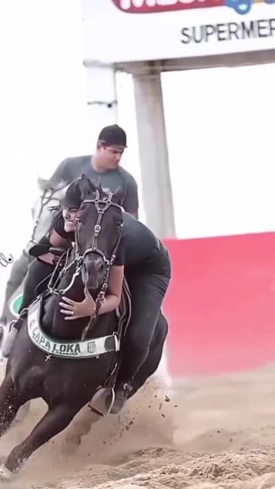 Hold your horses