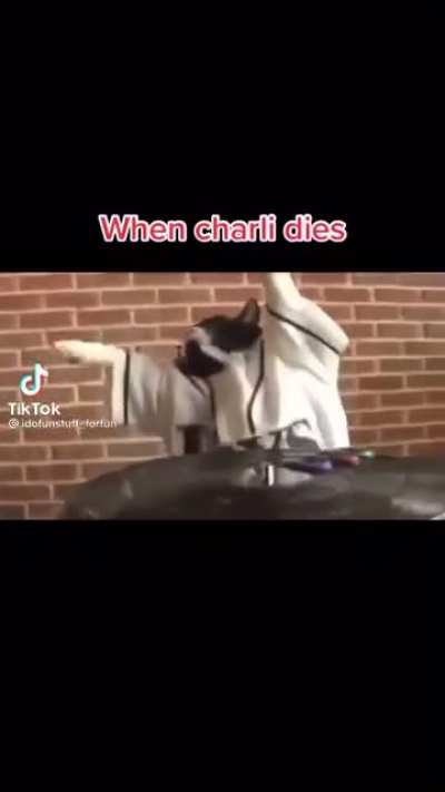 yes