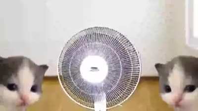 yes
