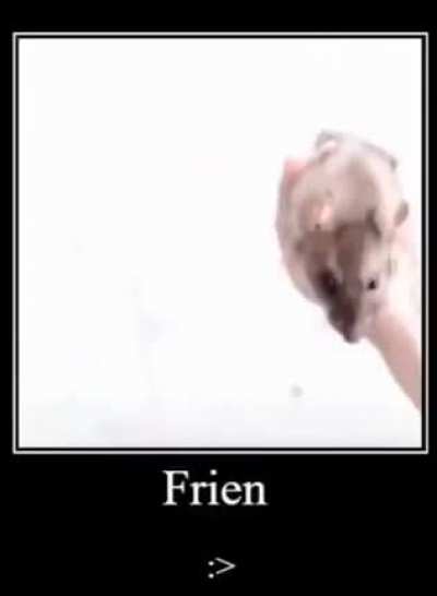 How to make friends