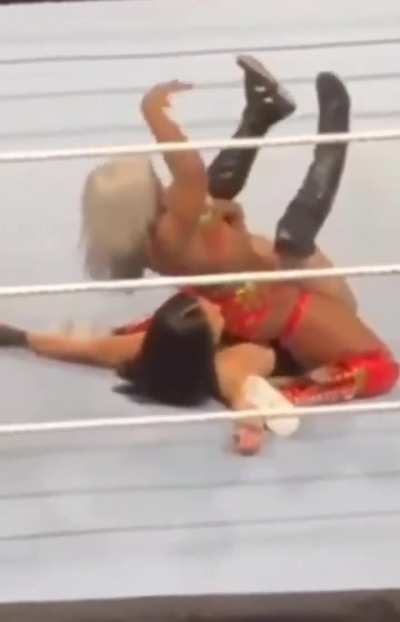 WWE Holiday Tour
