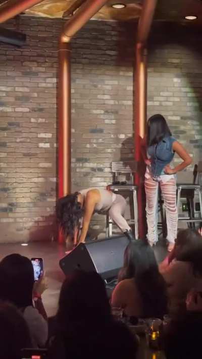 Nikki & Brie Bella (The Bella Twins)