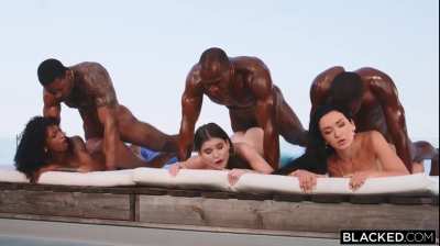 Blacked - Barbie Rous, Stefany Kyler, Zuzu Sweet - 3 BBC Pool Side Orgy