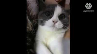 Give me your soul >:(