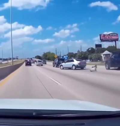 Guy in the Accord must've been pissed at the guy on the left driving slow on the fast lane.
