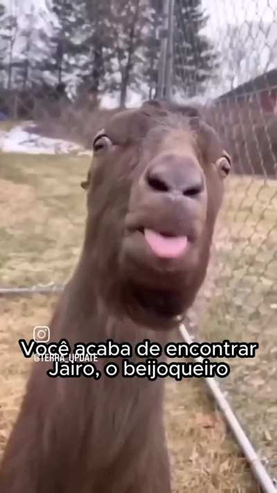 Bugou tudo 