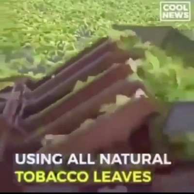 I’m investing in this