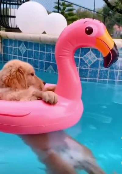 Summer mood 🏖