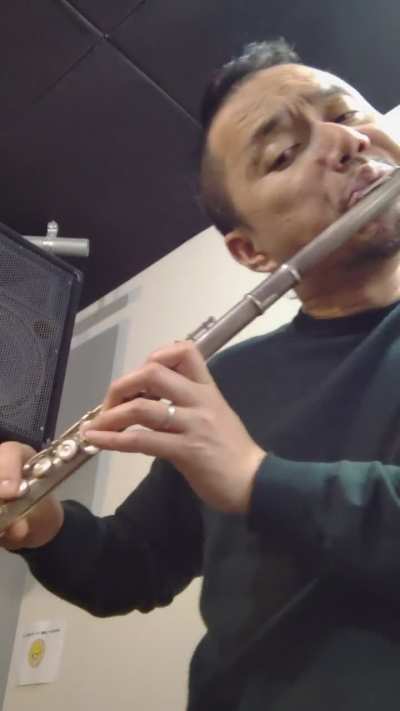 Raw Acoustic Noise. No pedals, no effects. Just flute multiphonics.
