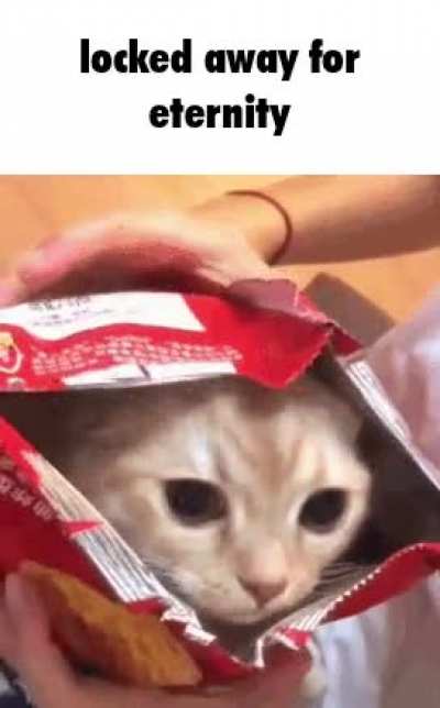 bye