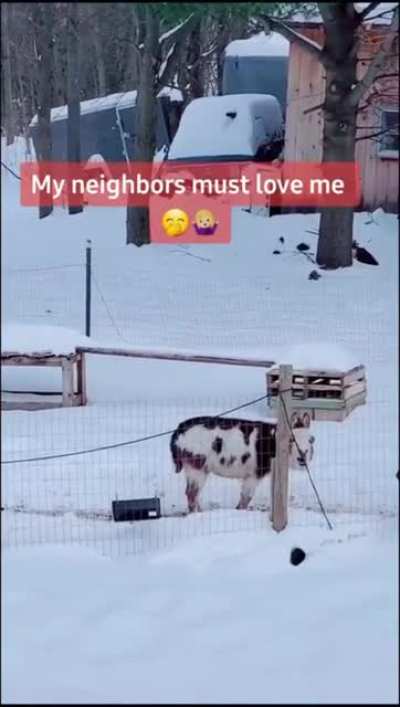 Nelson is a good neighbour