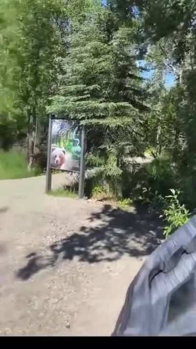 close encounter