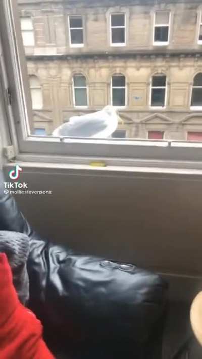 He’s had enough